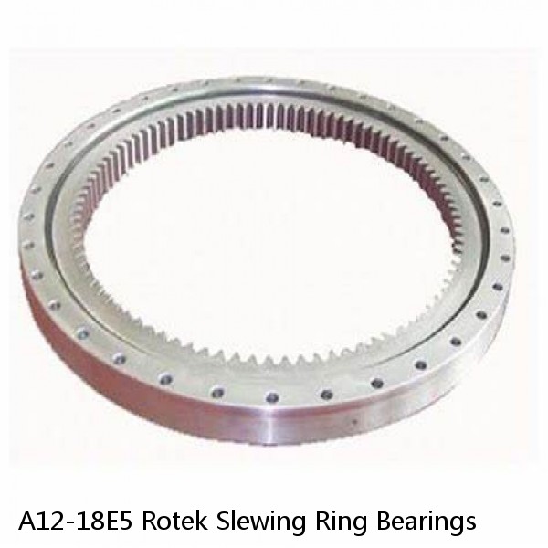 A12-18E5 Rotek Slewing Ring Bearings