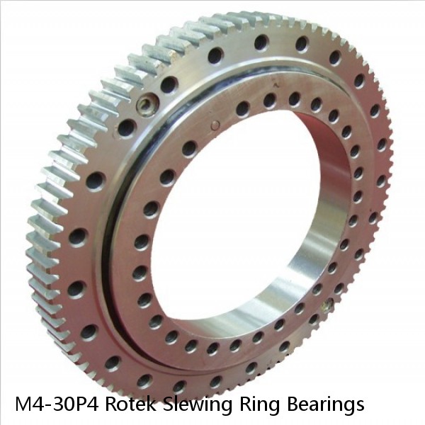 M4-30P4 Rotek Slewing Ring Bearings