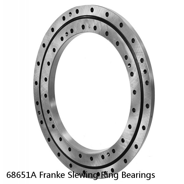 68651A Franke Slewing Ring Bearings #1 small image