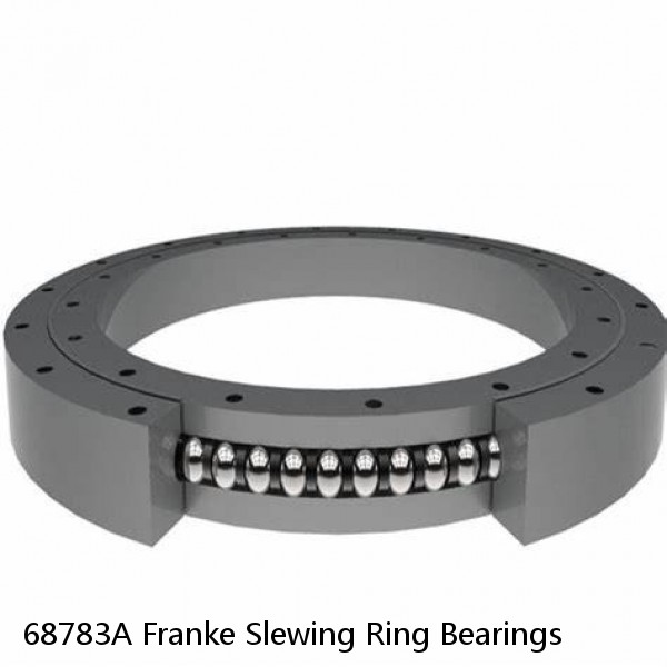 68783A Franke Slewing Ring Bearings #1 small image