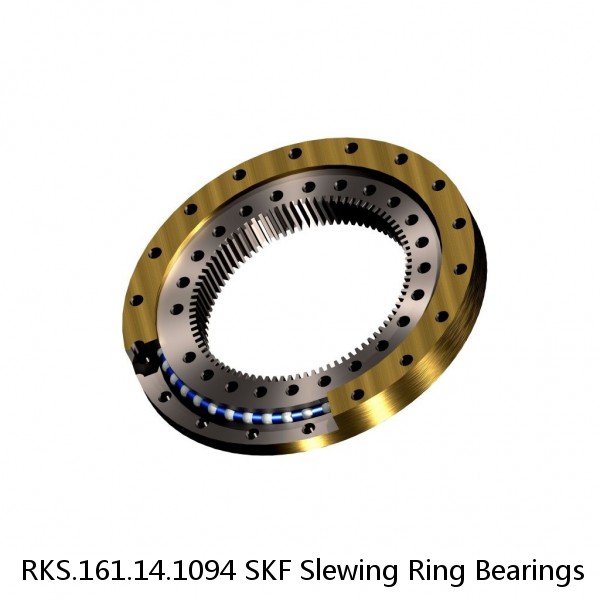 RKS.161.14.1094 SKF Slewing Ring Bearings