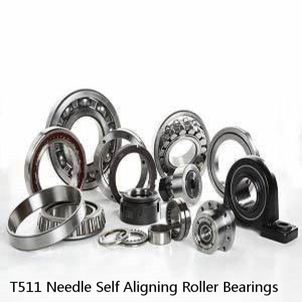 T511 Needle Self Aligning Roller Bearings #1 small image