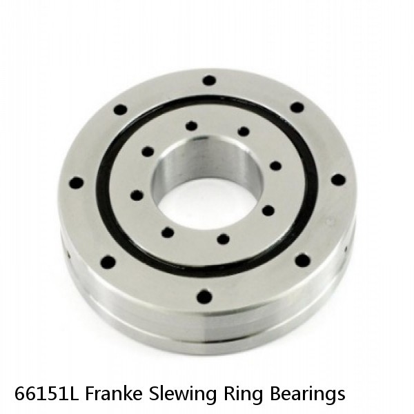 66151L Franke Slewing Ring Bearings #1 image