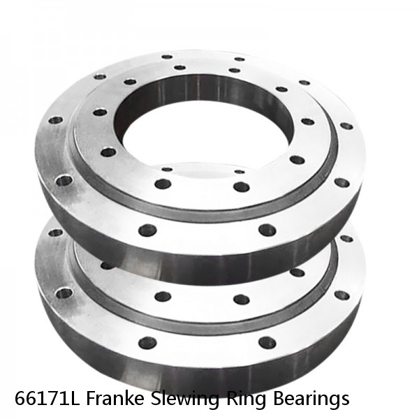 66171L Franke Slewing Ring Bearings #1 image