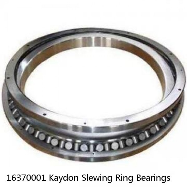 16370001 Kaydon Slewing Ring Bearings #1 image