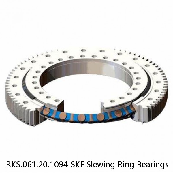 RKS.061.20.1094 SKF Slewing Ring Bearings #1 image