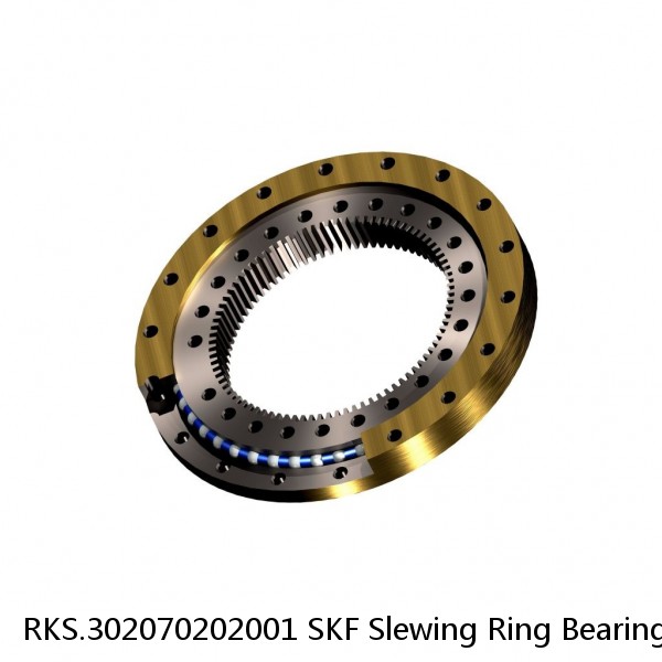 RKS.302070202001 SKF Slewing Ring Bearings #1 image