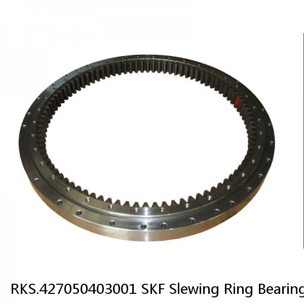 RKS.427050403001 SKF Slewing Ring Bearings #1 image