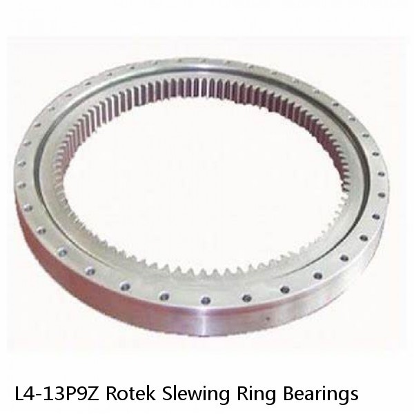 L4-13P9Z Rotek Slewing Ring Bearings #1 image