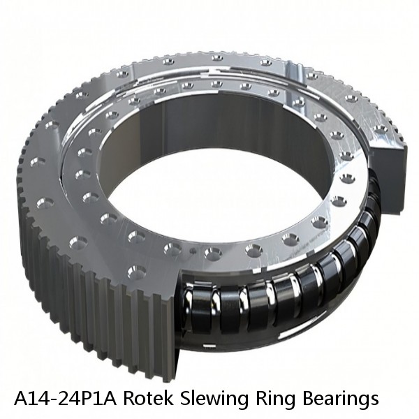 A14-24P1A Rotek Slewing Ring Bearings #1 image