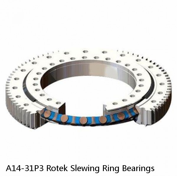 A14-31P3 Rotek Slewing Ring Bearings #1 image
